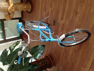 【天津市濮琪自行車】價格,廠家,圖片,自行車,天津市濮琪自行車-