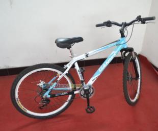 供應(yīng)26式自行車價(jià)格_供應(yīng)26式自行車廠家_世界工廠網(wǎng)產(chǎn)品信息庫