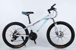 精品山地車(chē)